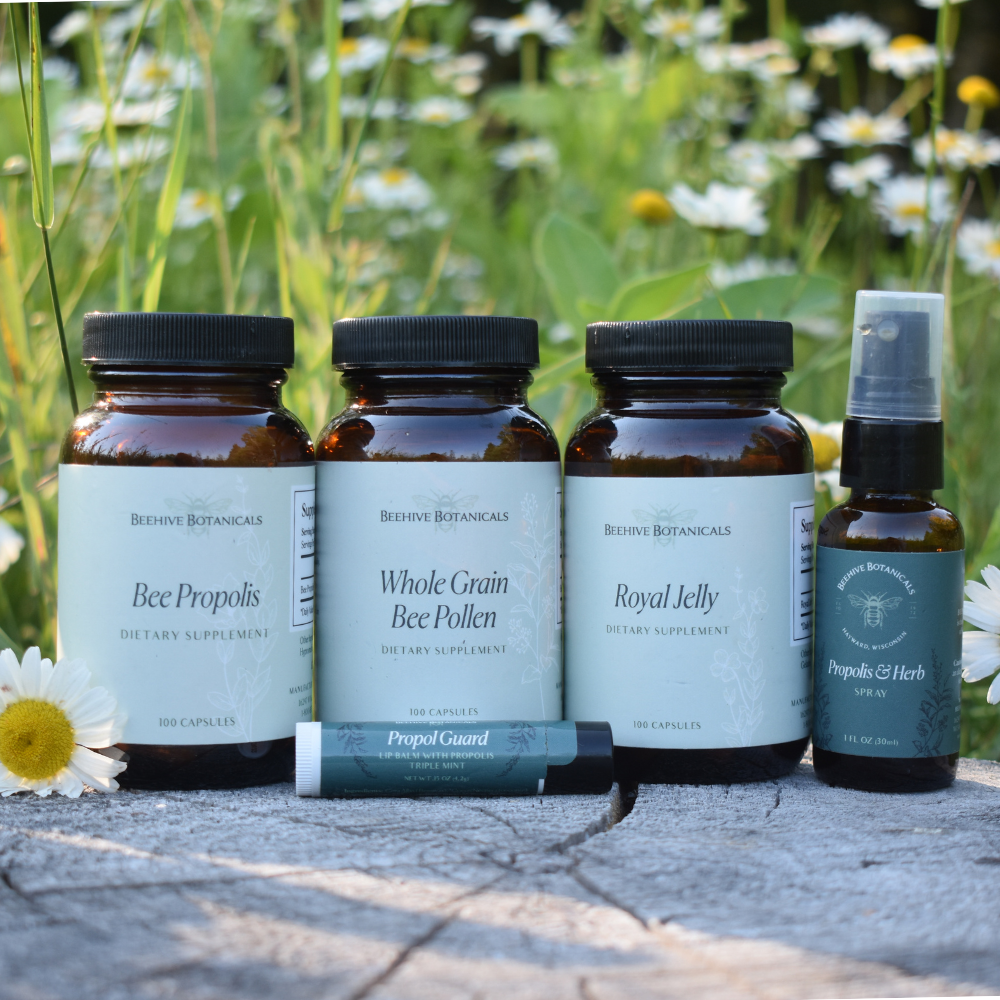 Health & Wellness Bundle