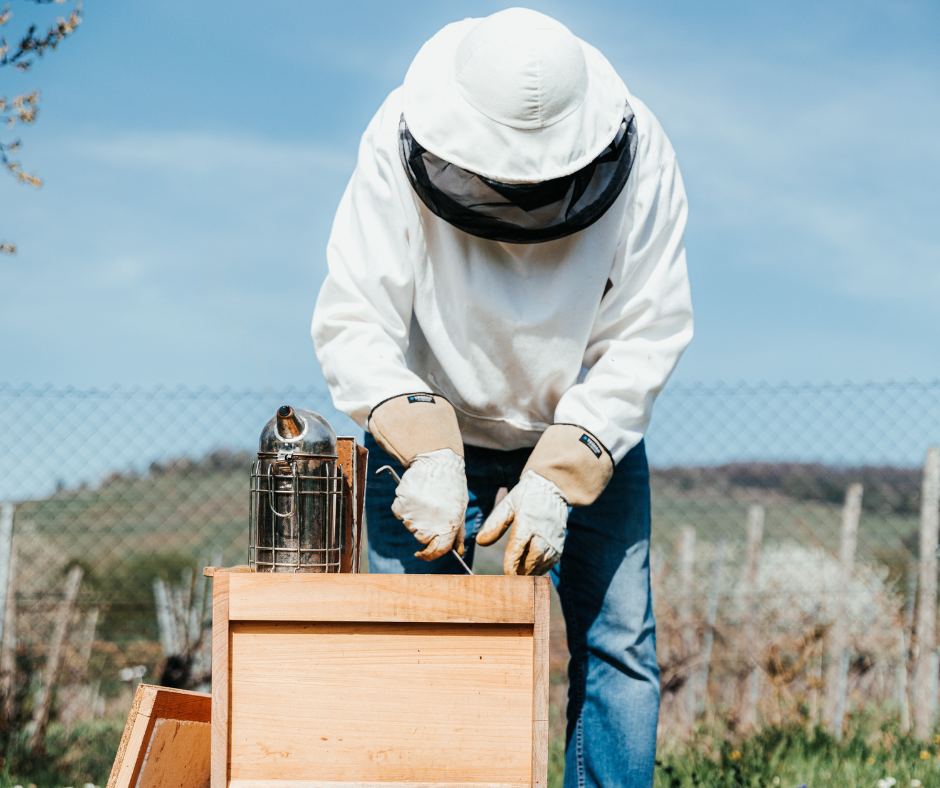 BeeKeeping is Not as Difficult as One Might Think and Can be a Very Fulfilling Hobby…Year Round.