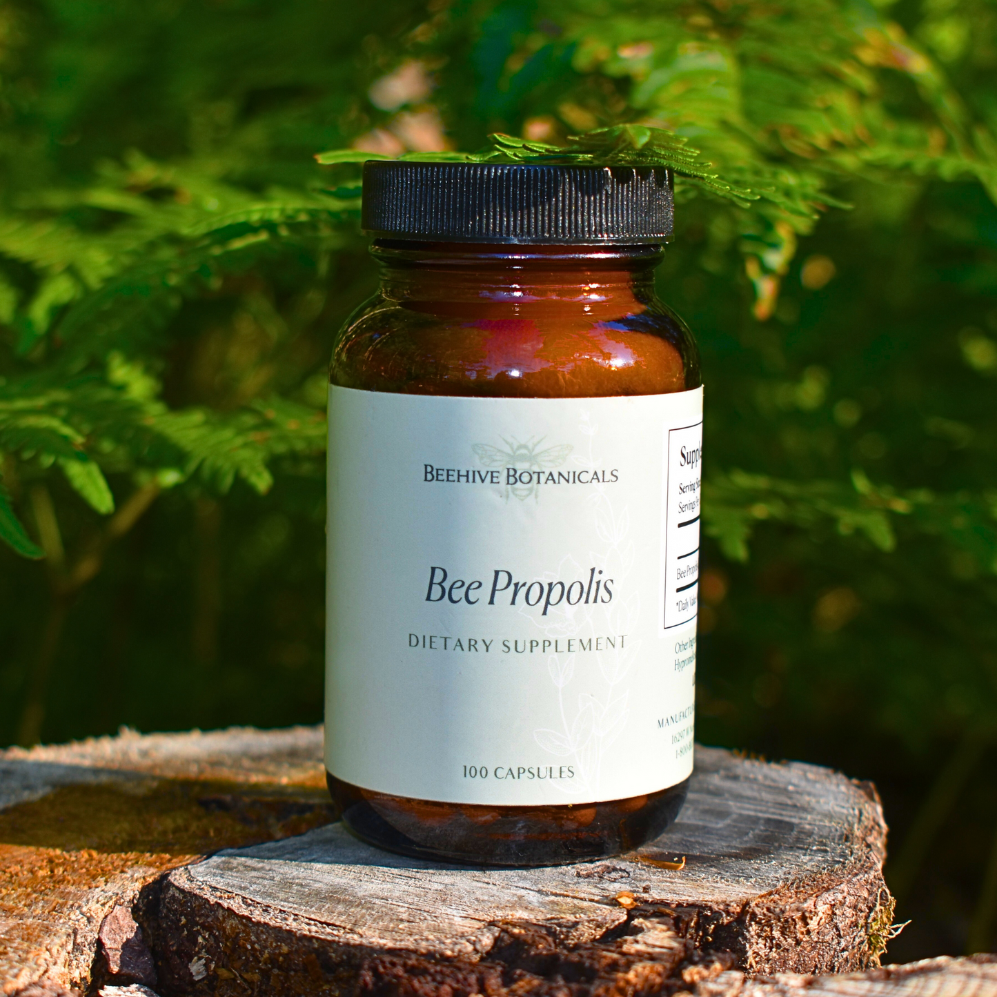 Propolis Capsules